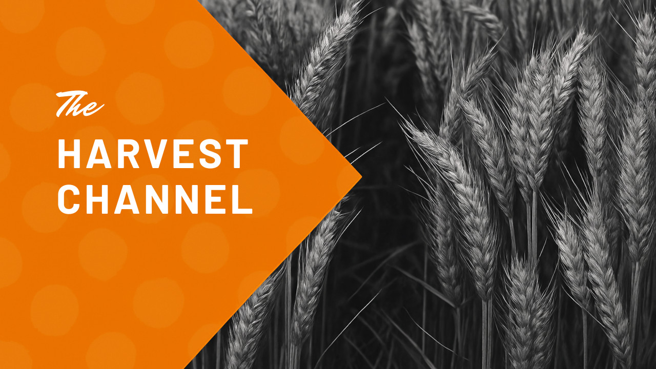 The Harvest Channel